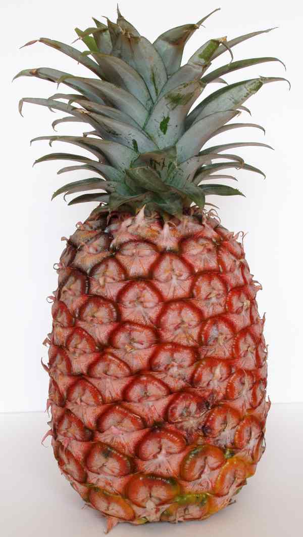 Ananas