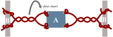 Deux tours